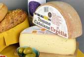 Tomme Catalane